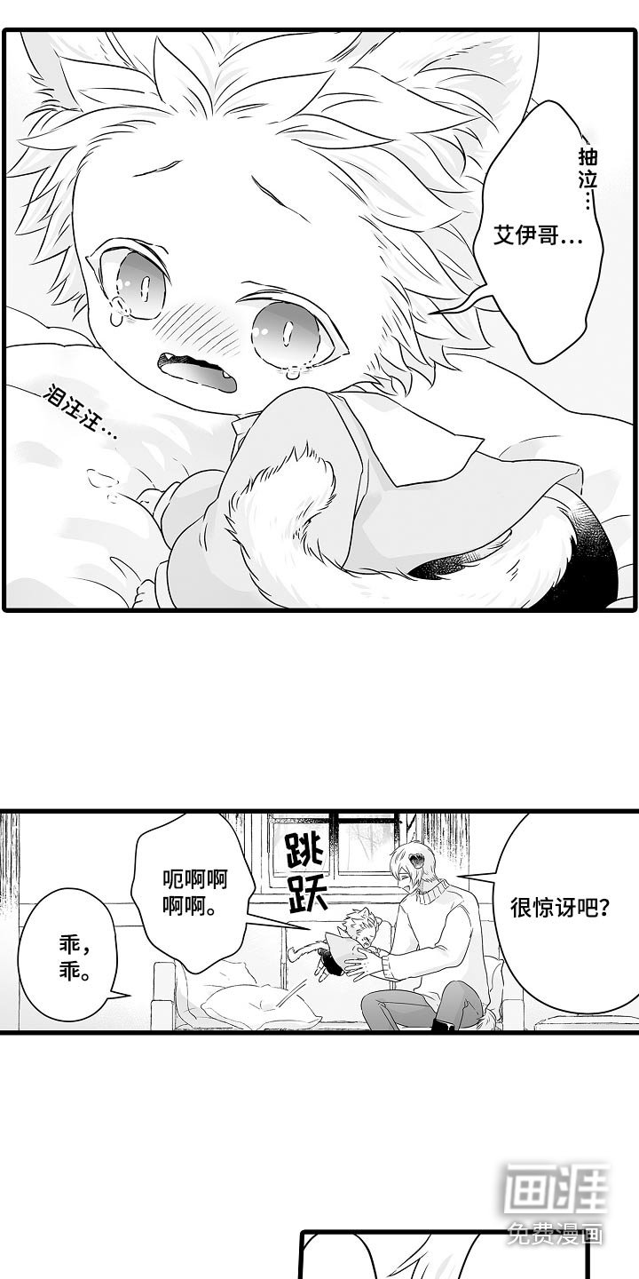 第63章：会回来的 