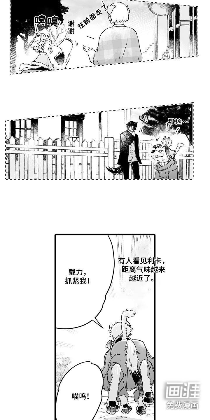 第64章：寻找