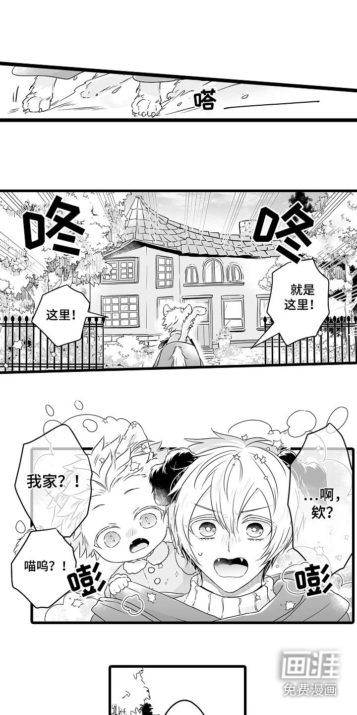 第64章：寻找