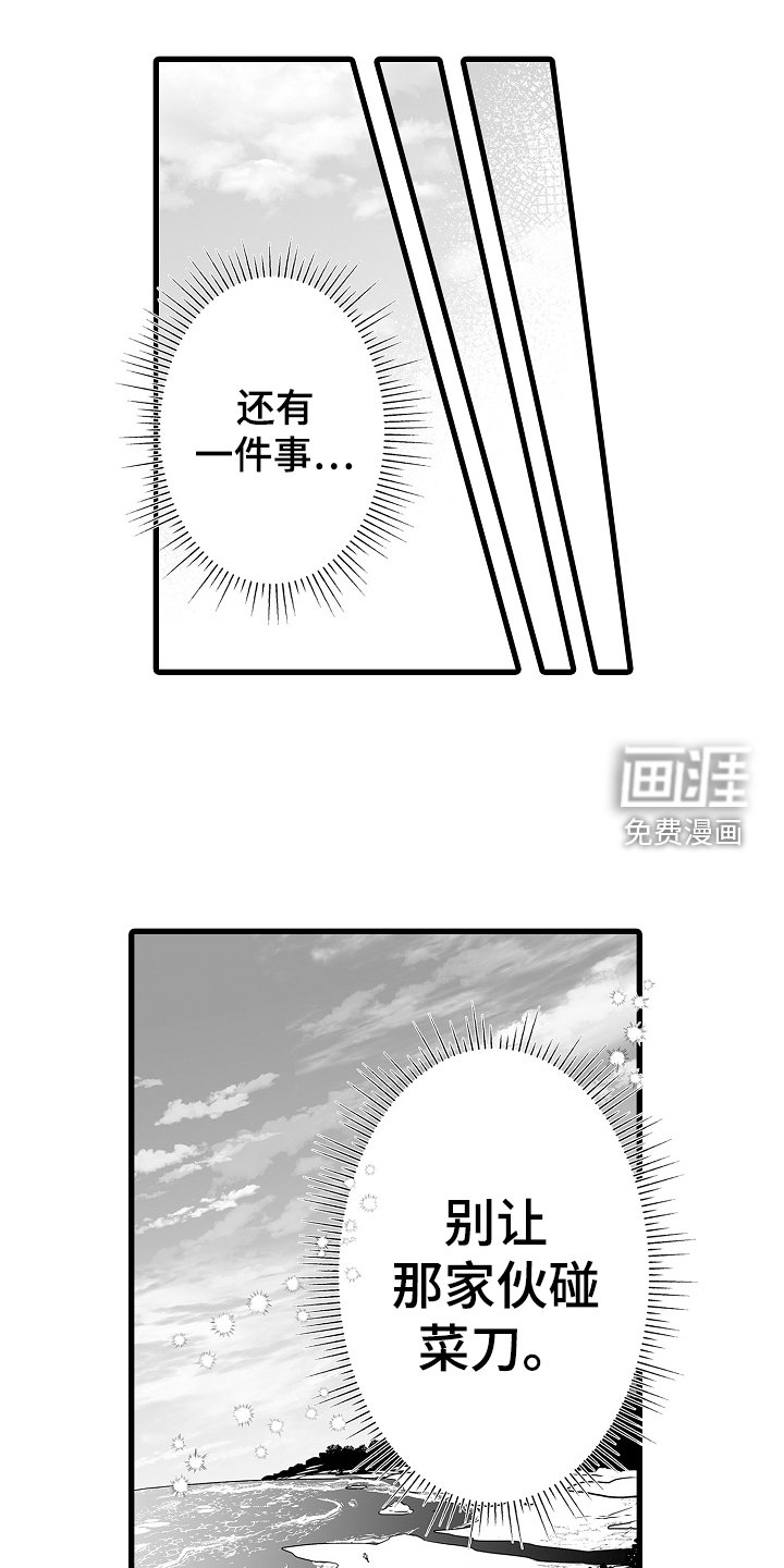 第66章：烟花