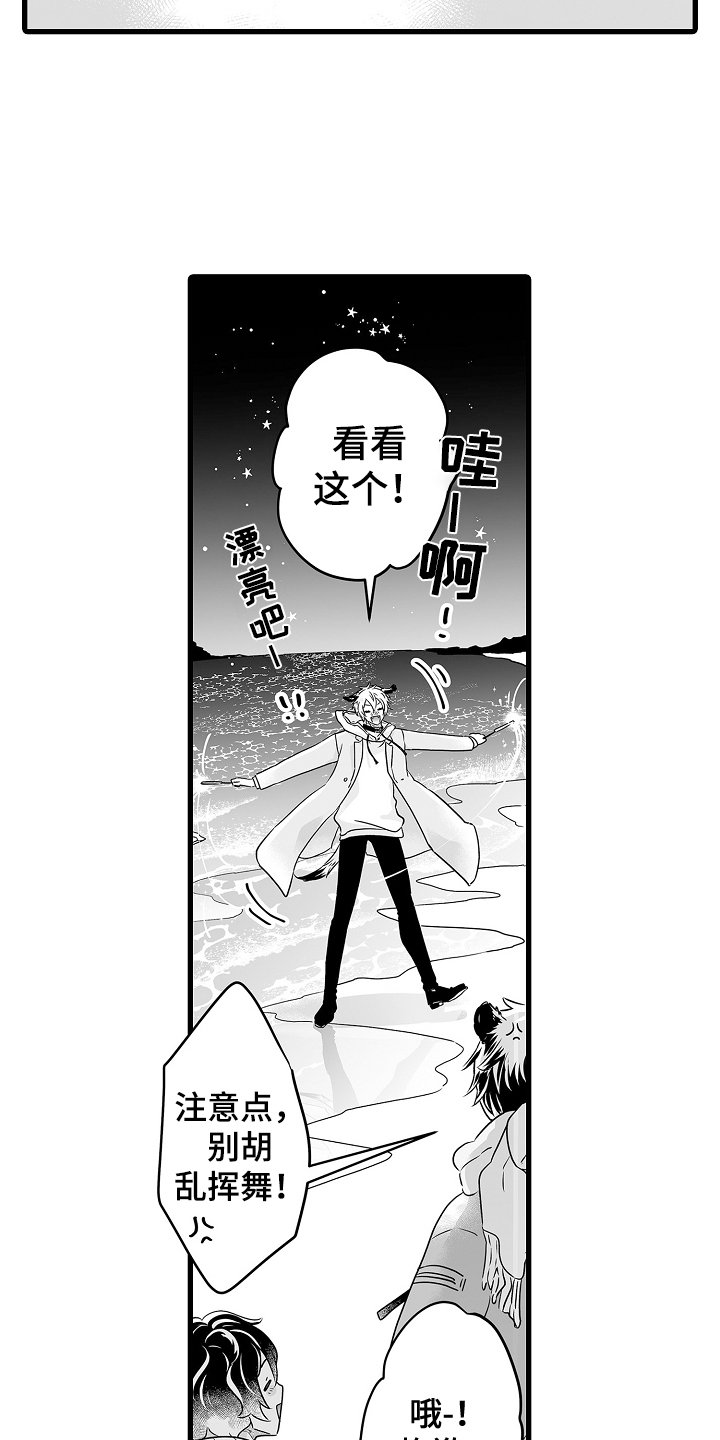 第66章：烟花