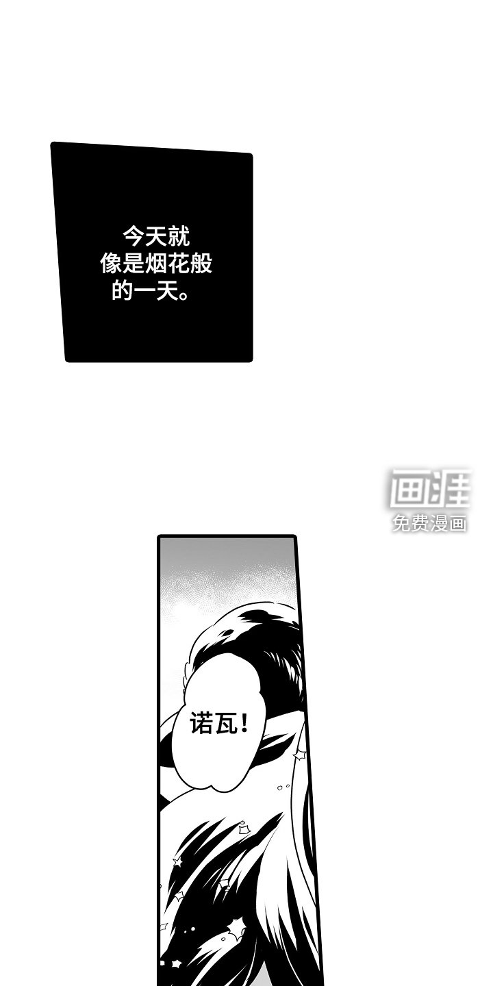 第66章：烟花