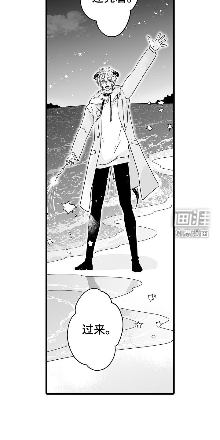 第66章：烟花