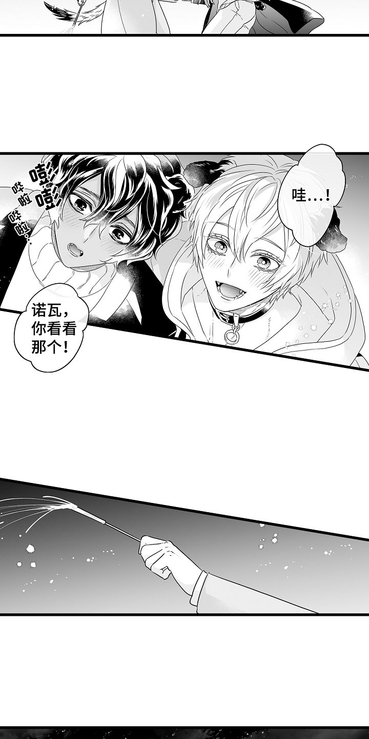 第66章：烟花