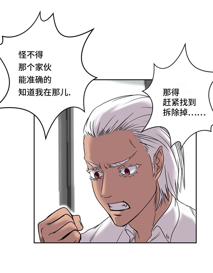 第19章：上钩