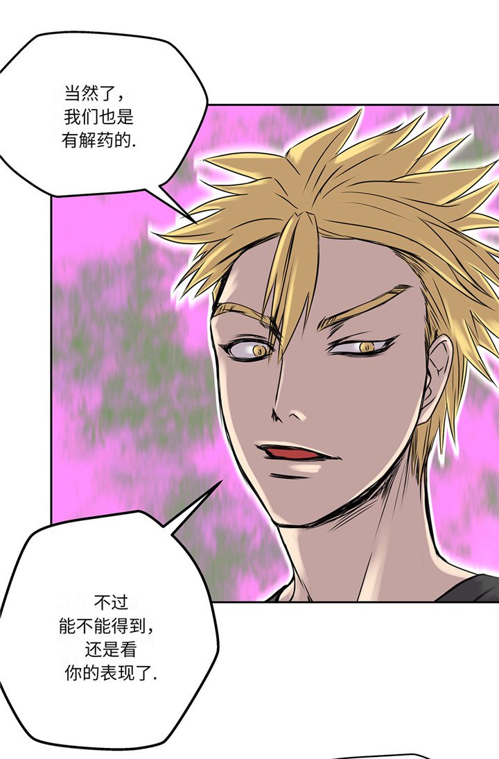 第23章：看看你有什么能耐