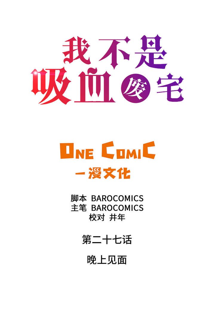 第27章： 晚上见面