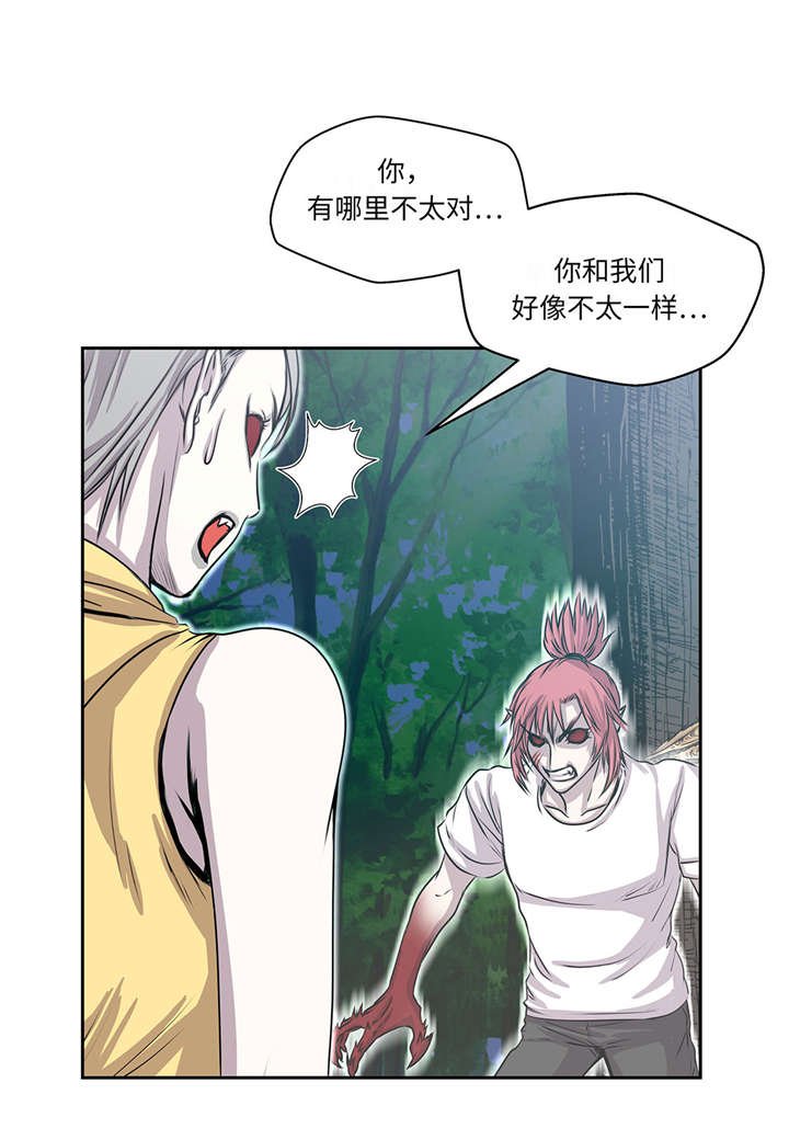 第28章：不一样