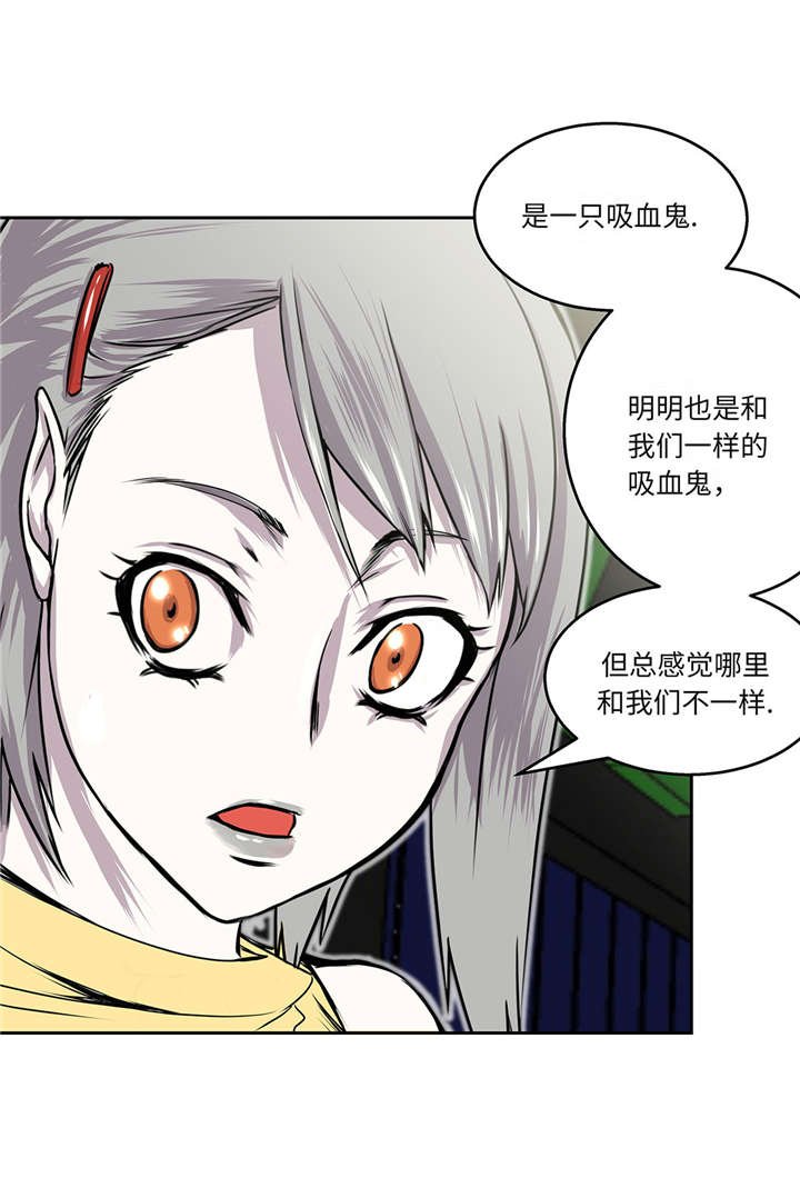 第28章：不一样