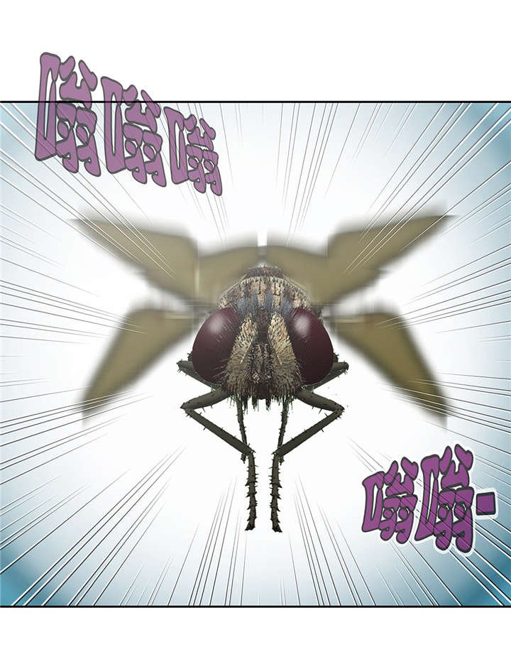 第36章：我喜欢安静的地方