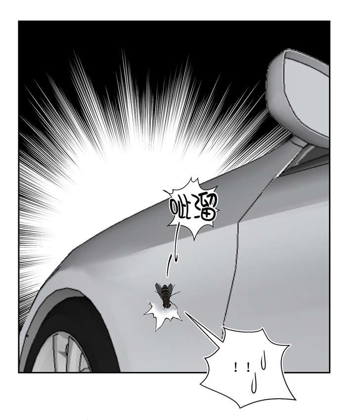 第36章：我喜欢安静的地方