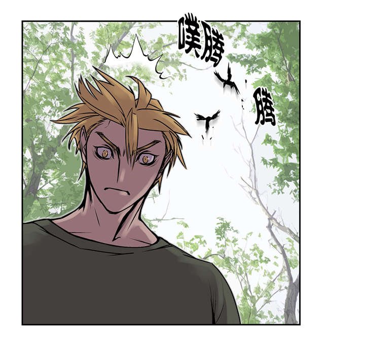 第39章：真正的目的