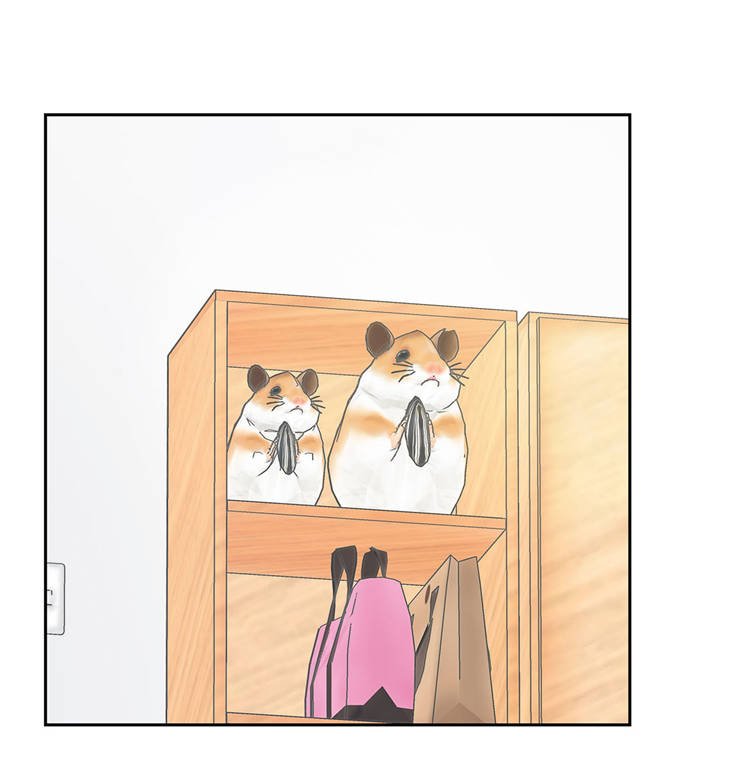第4章：你到底是谁？