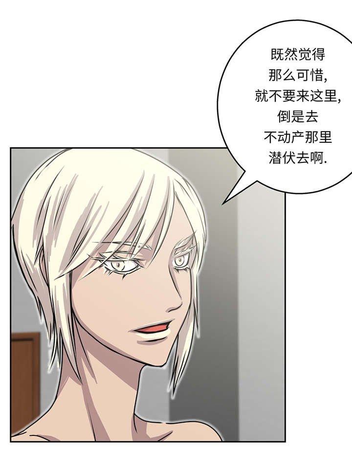 第41章：从长计议