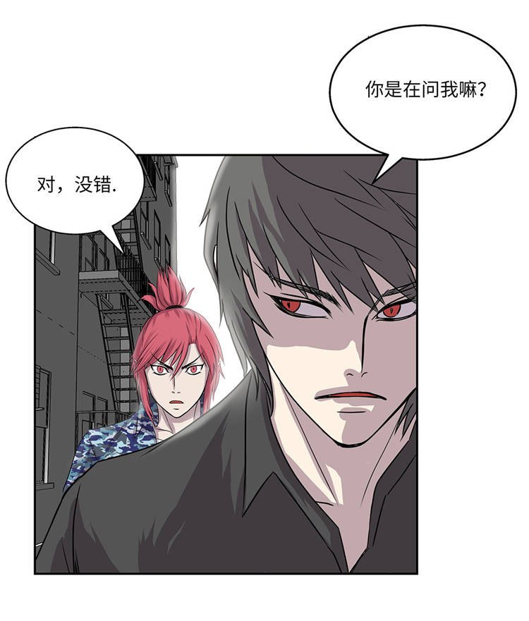 第5章：真实身份
