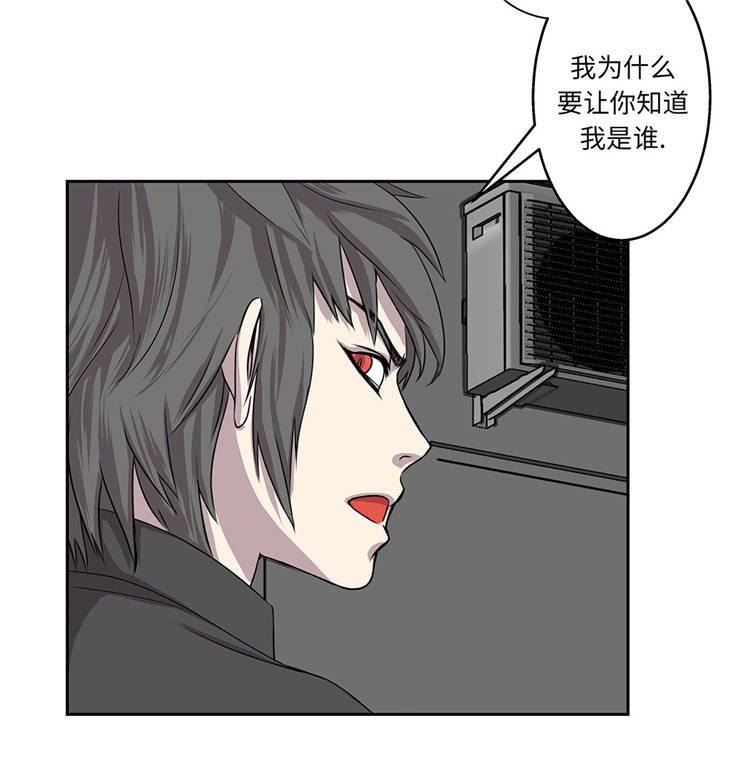 第5章：真实身份
