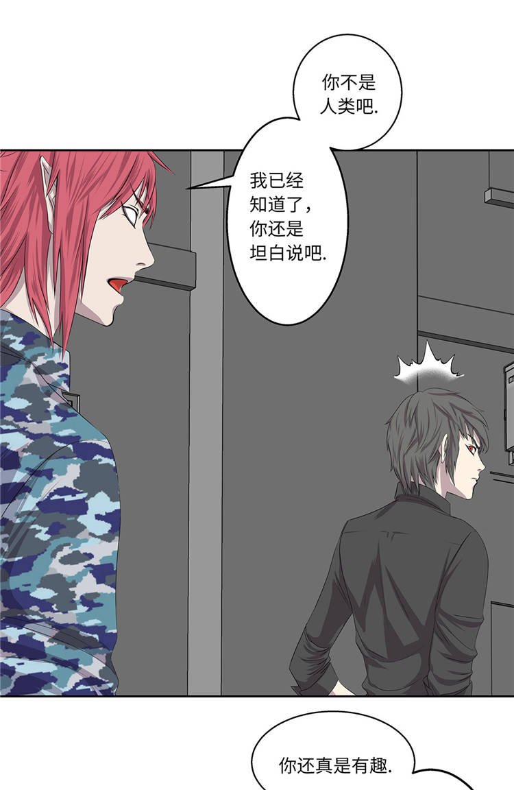 第5章：真实身份