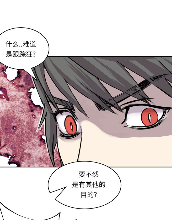 第53章：不在场证明