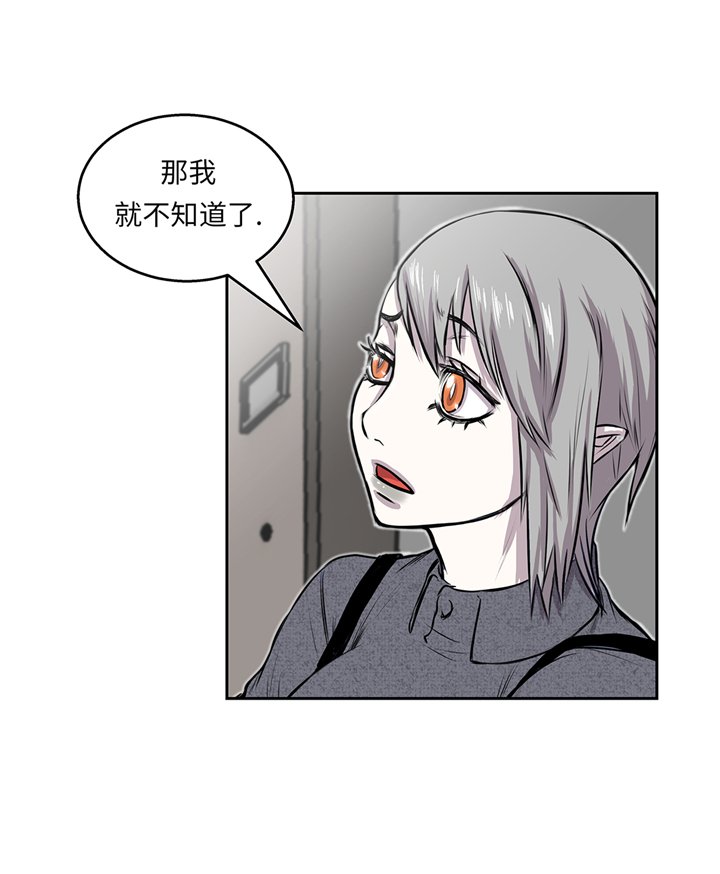 第65章：重要的事情