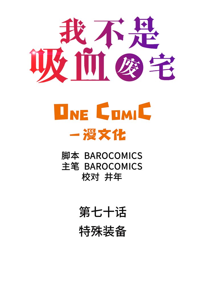 第70章：特殊装备
