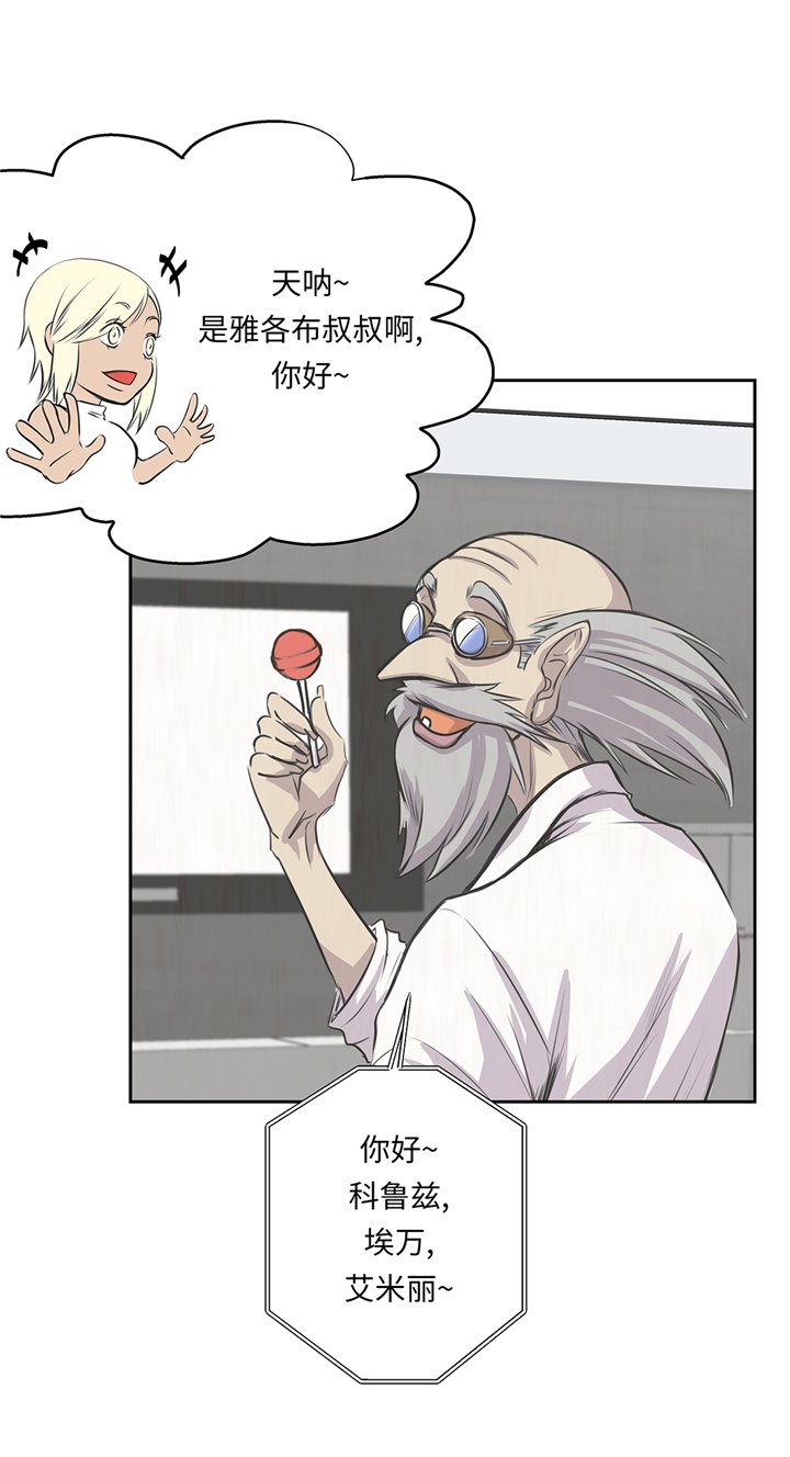 第71章：使用说明