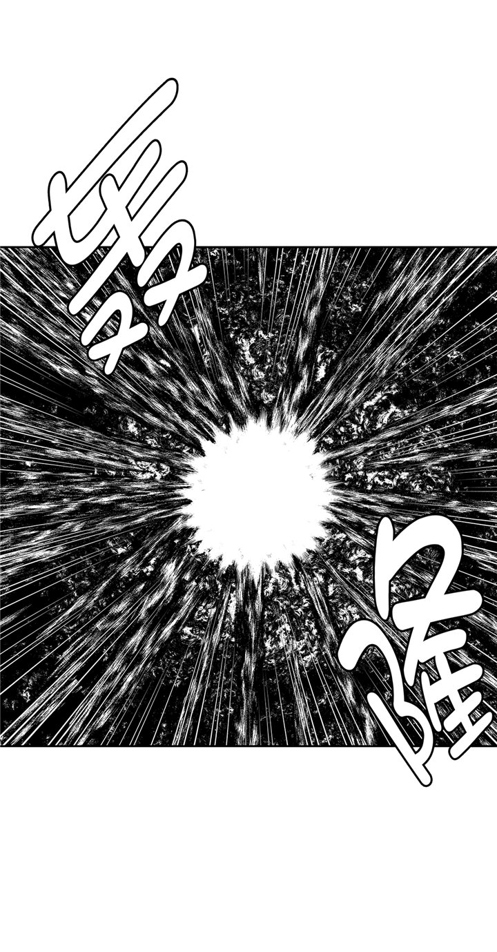 第71章：使用说明