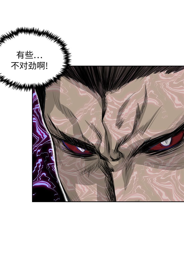 第78章：全面开战