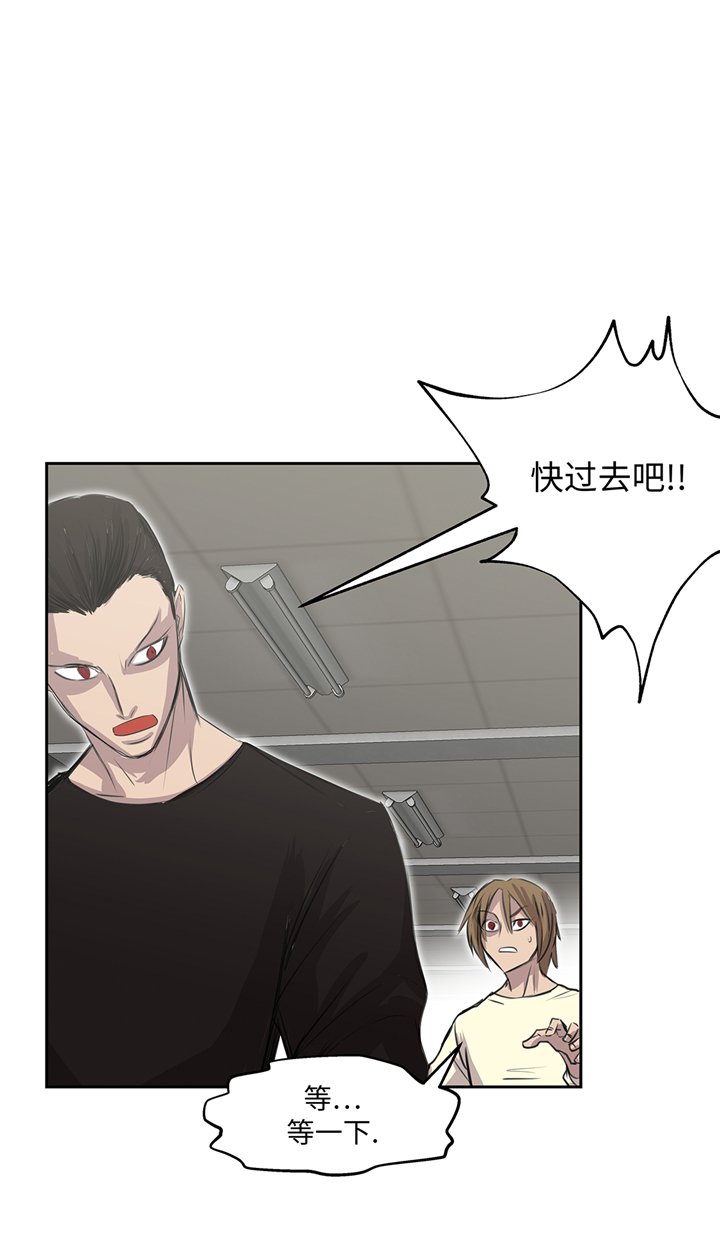 第78章：全面开战