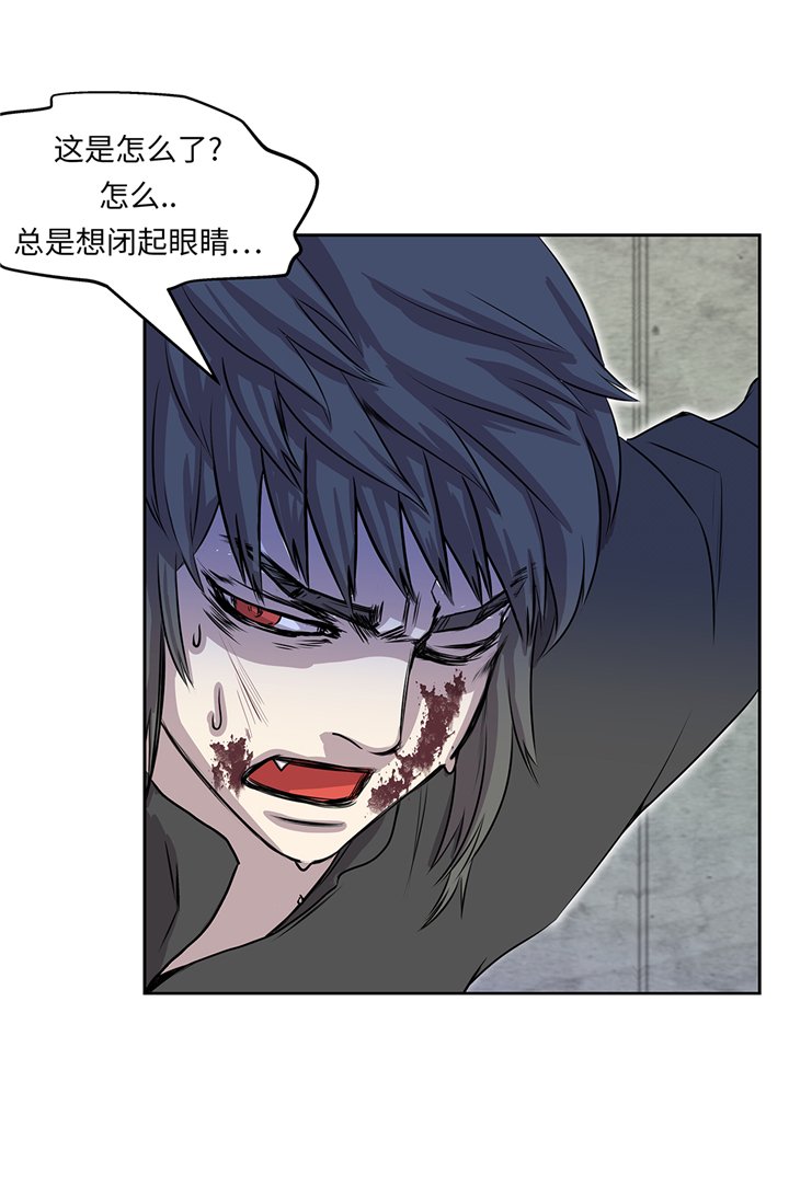 第78章：全面开战