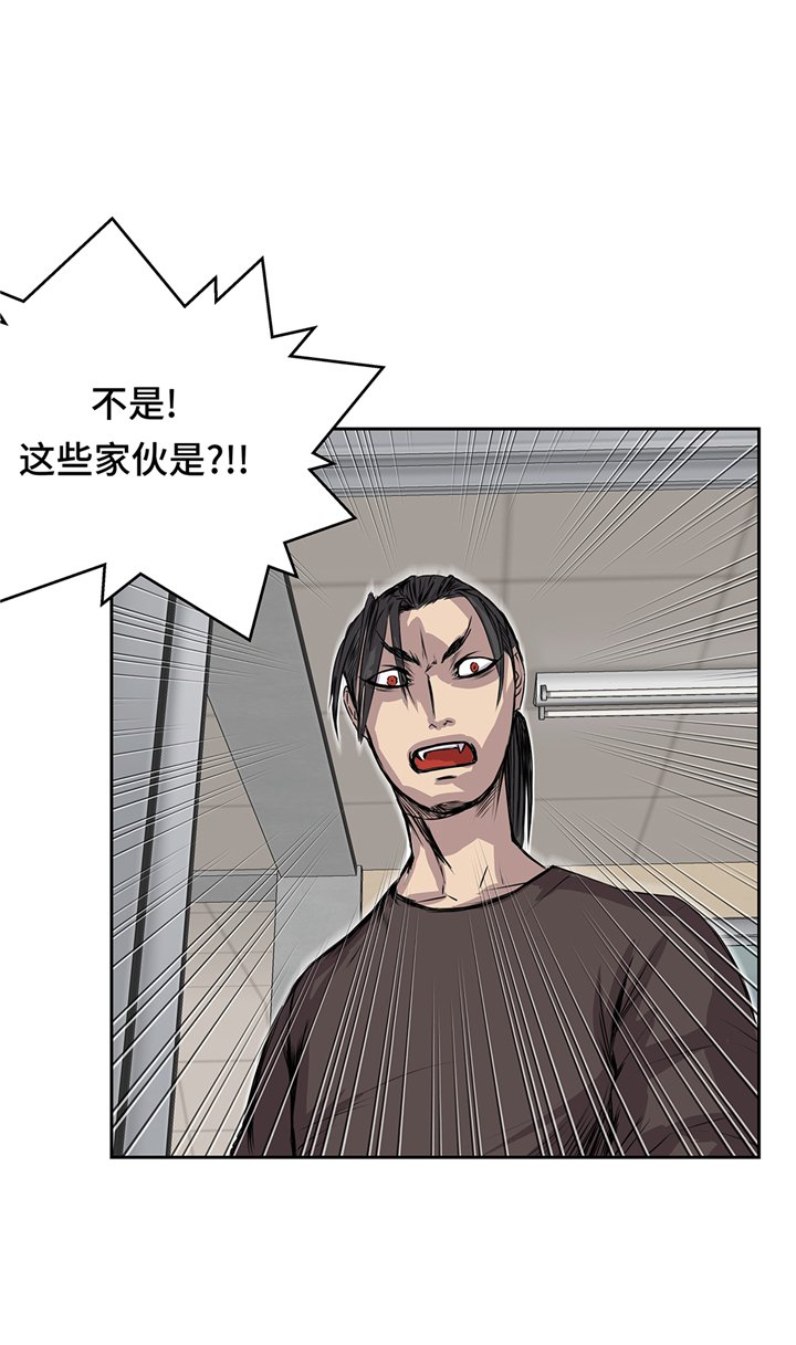 第78章：全面开战