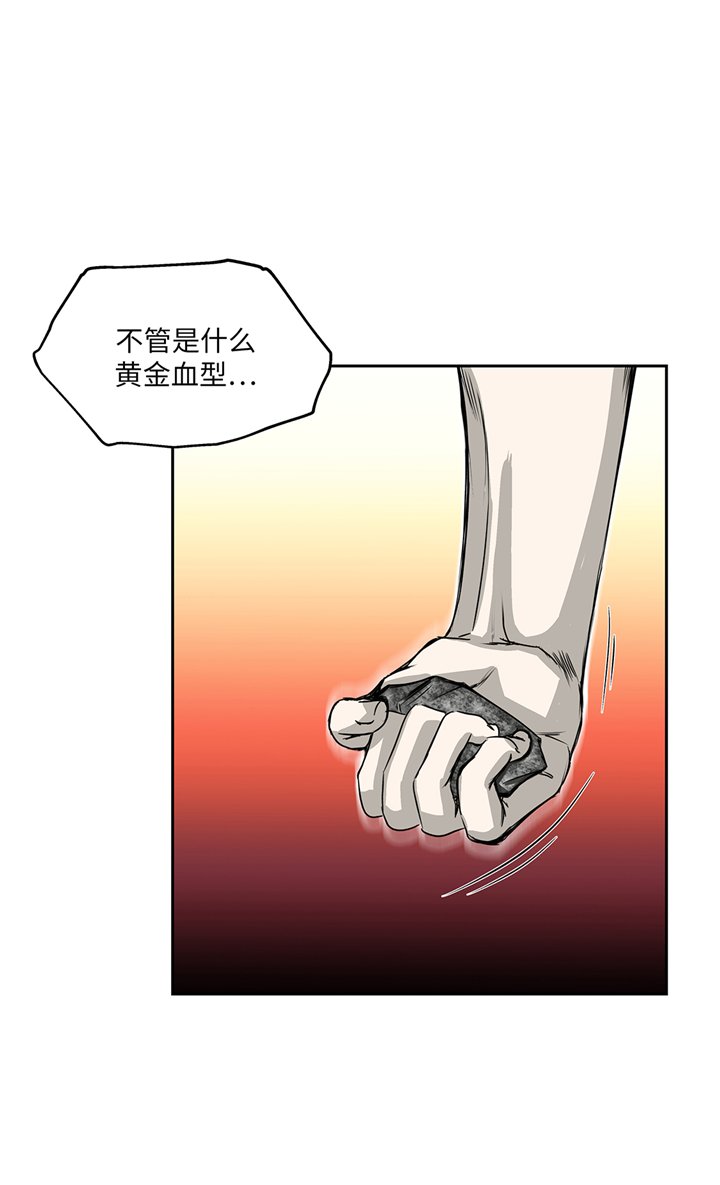 第85章：真实的原因
