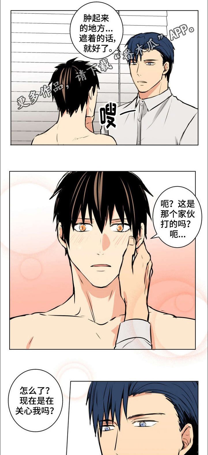 第28章：宠物