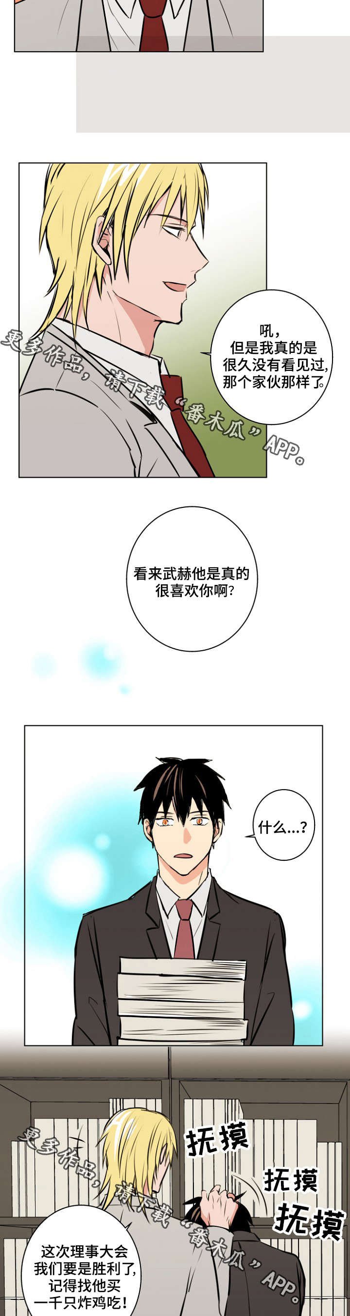 第29章：理事会