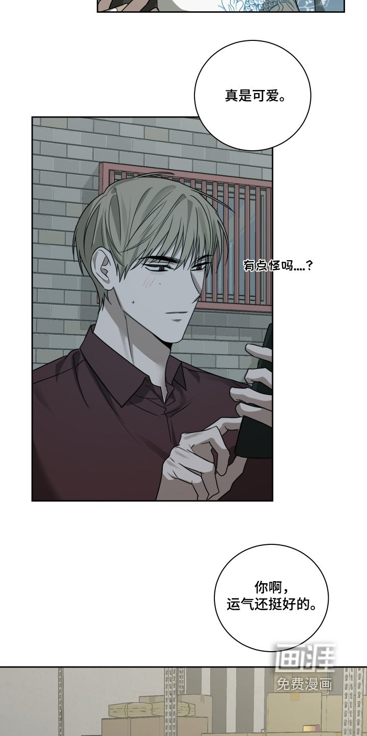 第17章：给个痛快