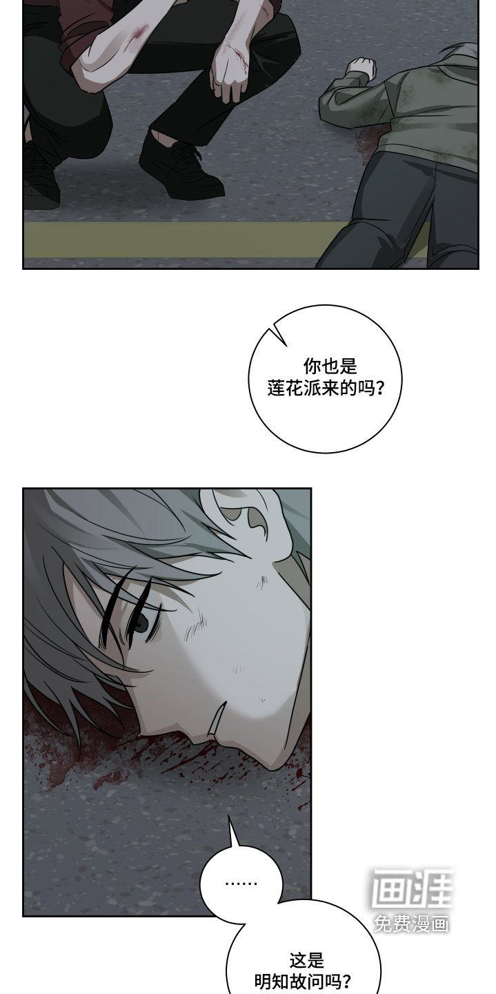第17章：给个痛快