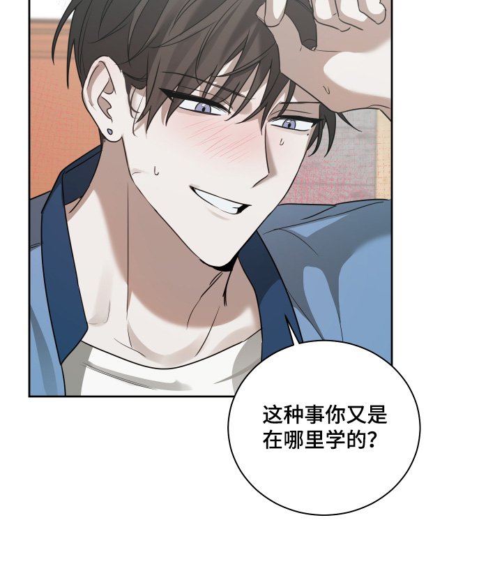 第19章：我们回家吧