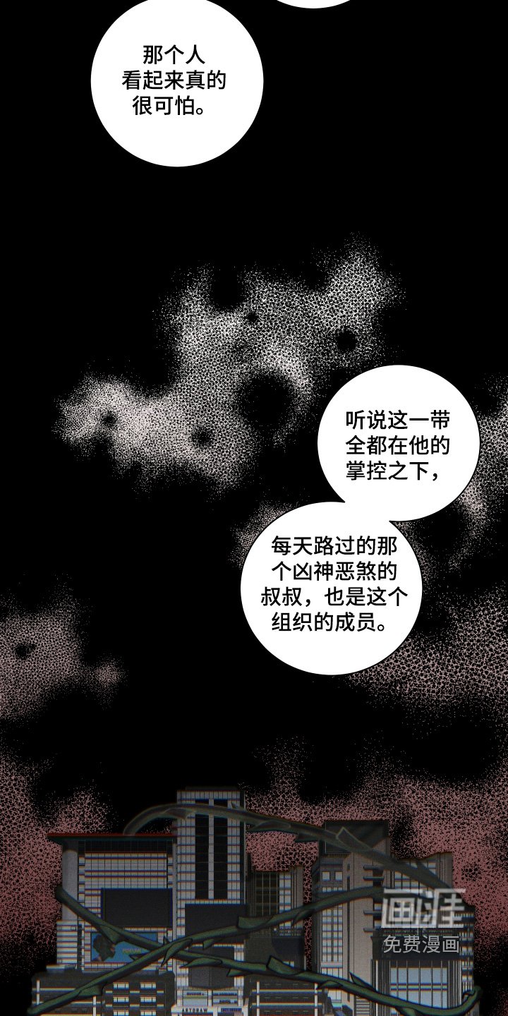 第21章：小时候