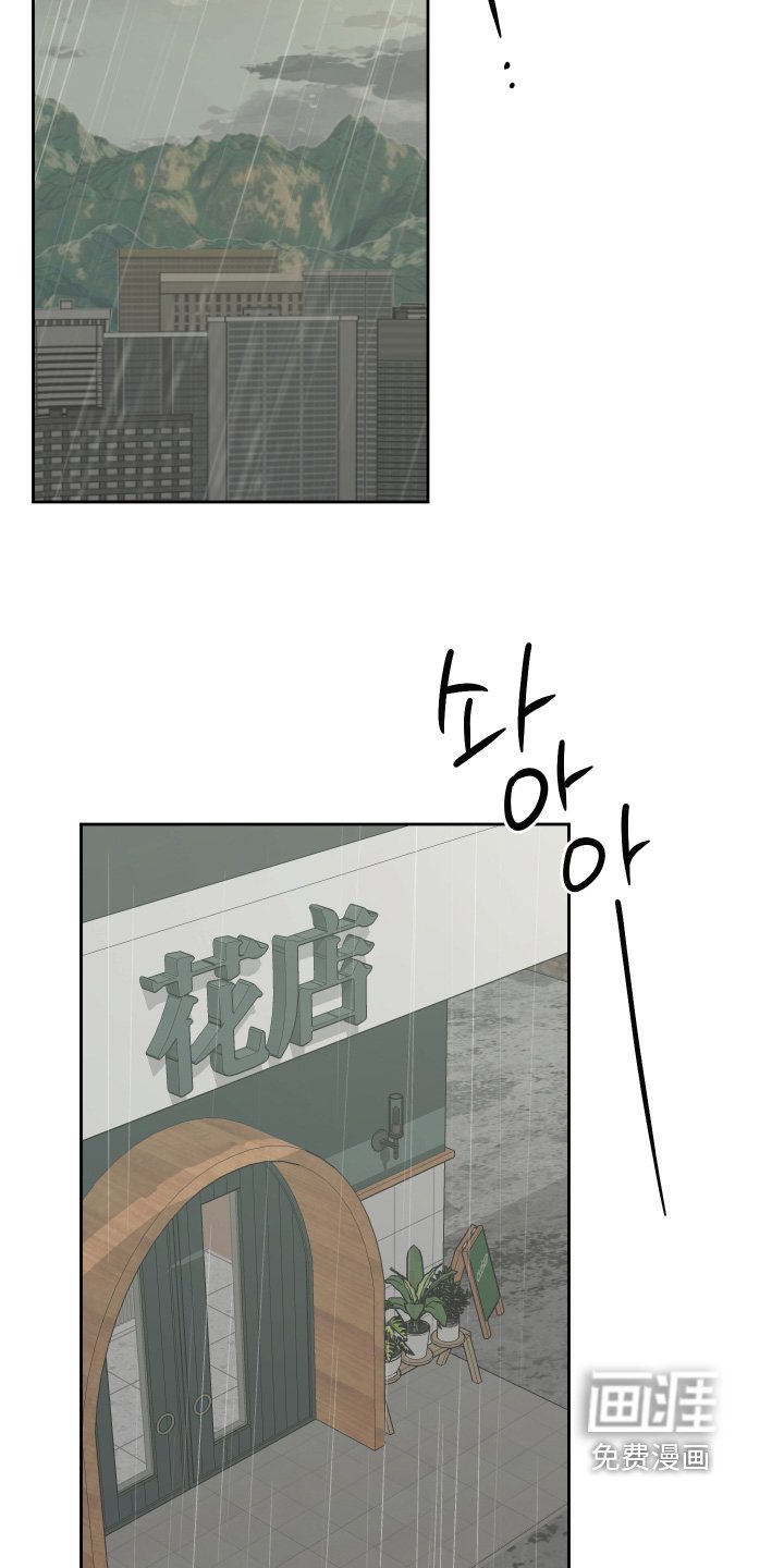 第31章：一切都是错误