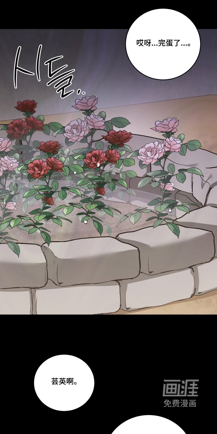 第32章：你要结婚了