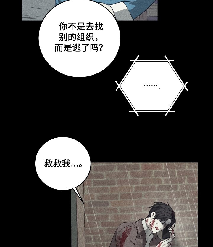 第33章：姐姐