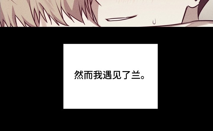 第35章：祝贺你