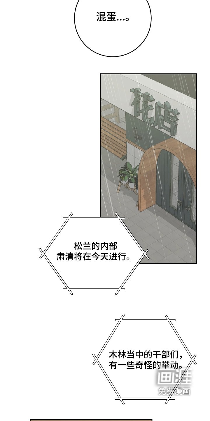第36章：没有欺骗你
