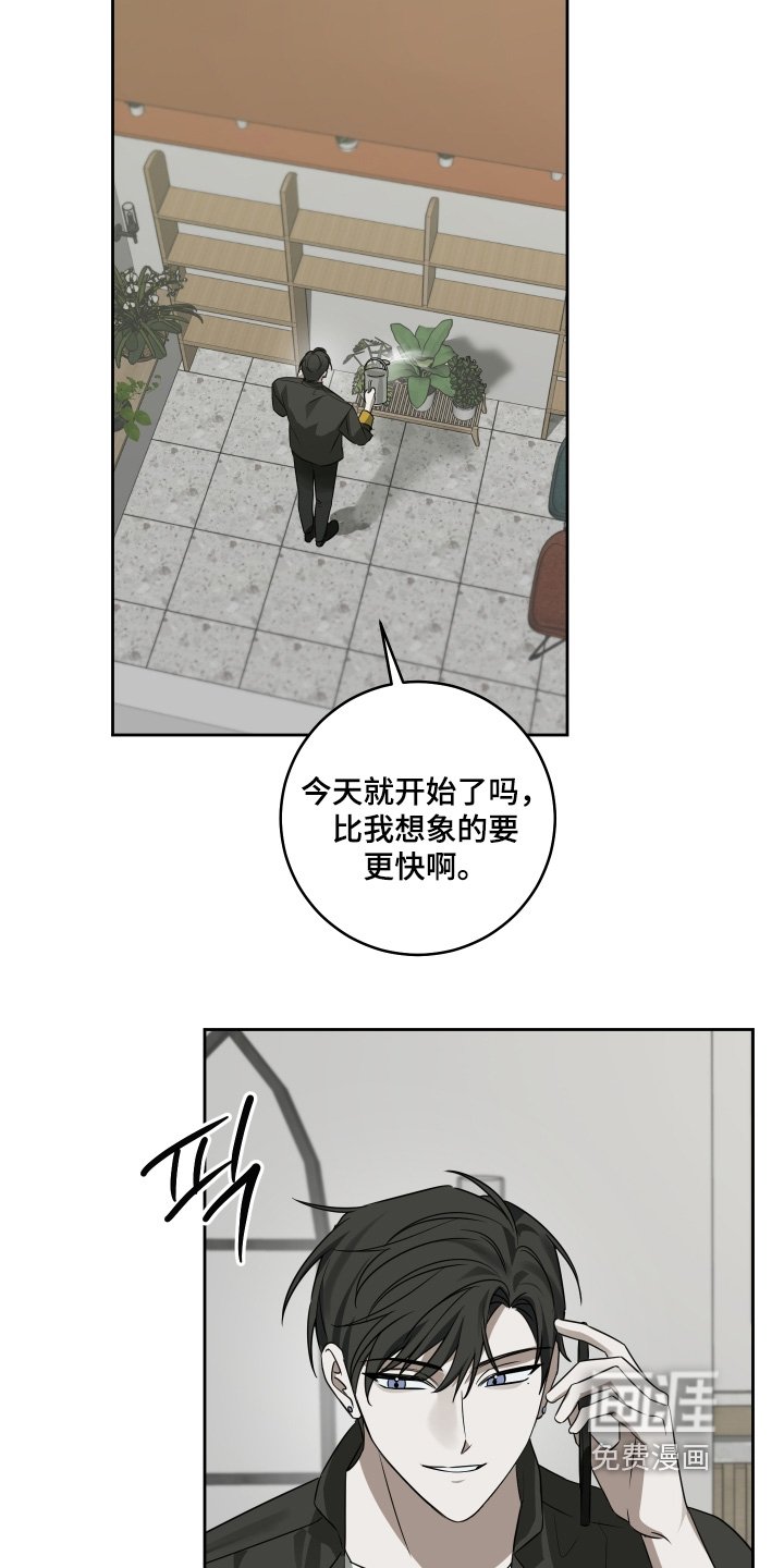 第36章：没有欺骗你