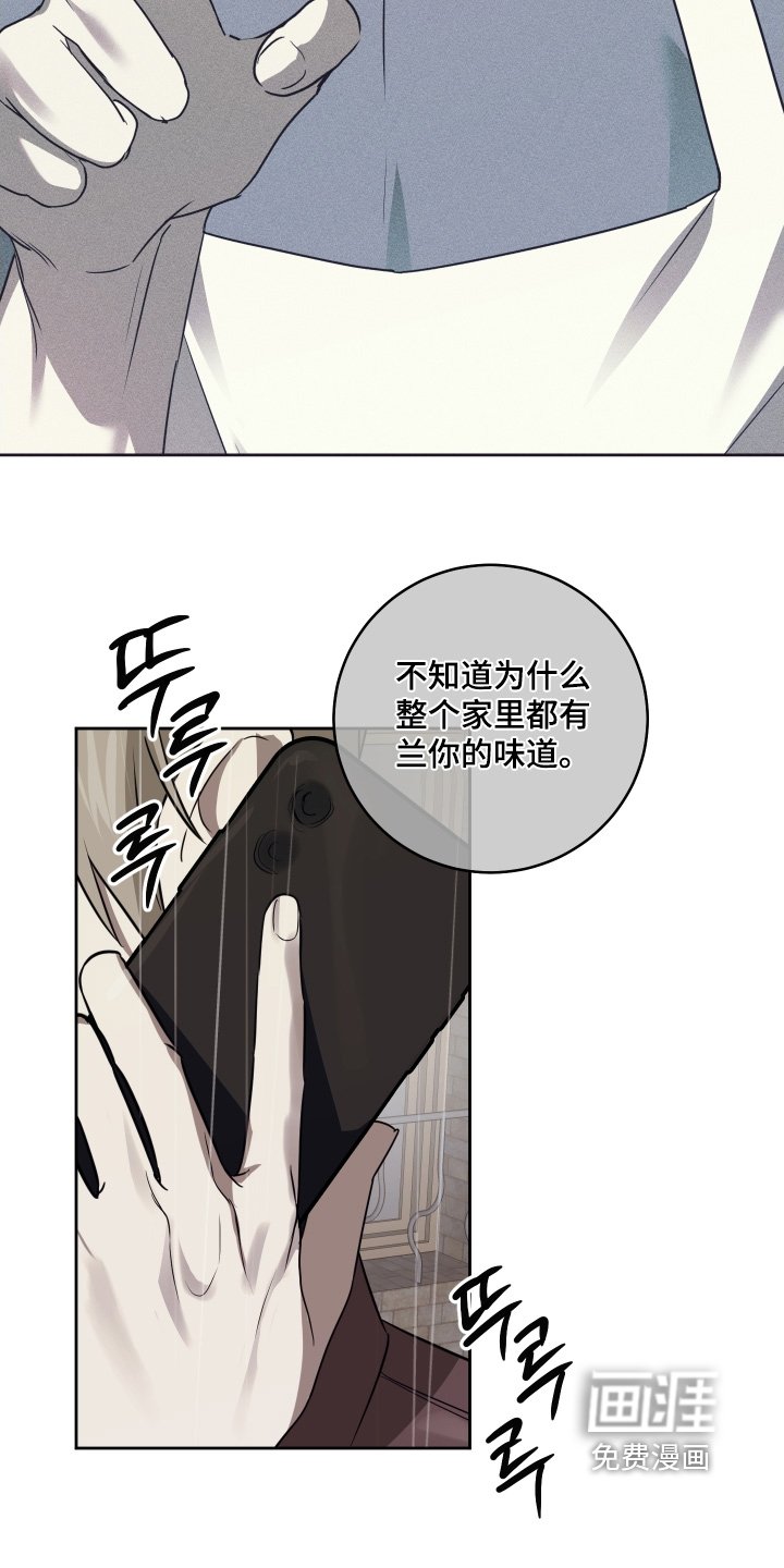 第37章：你在哪里