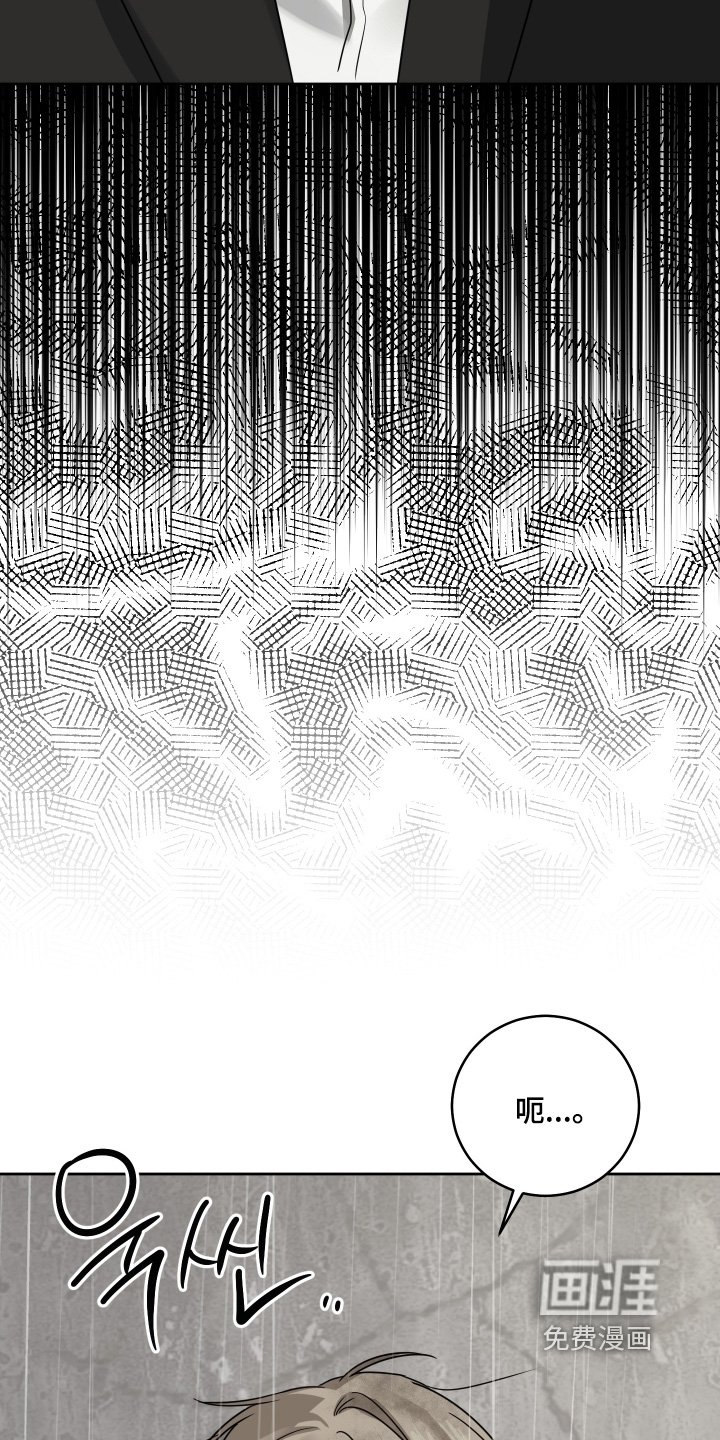 第38章：没有背叛