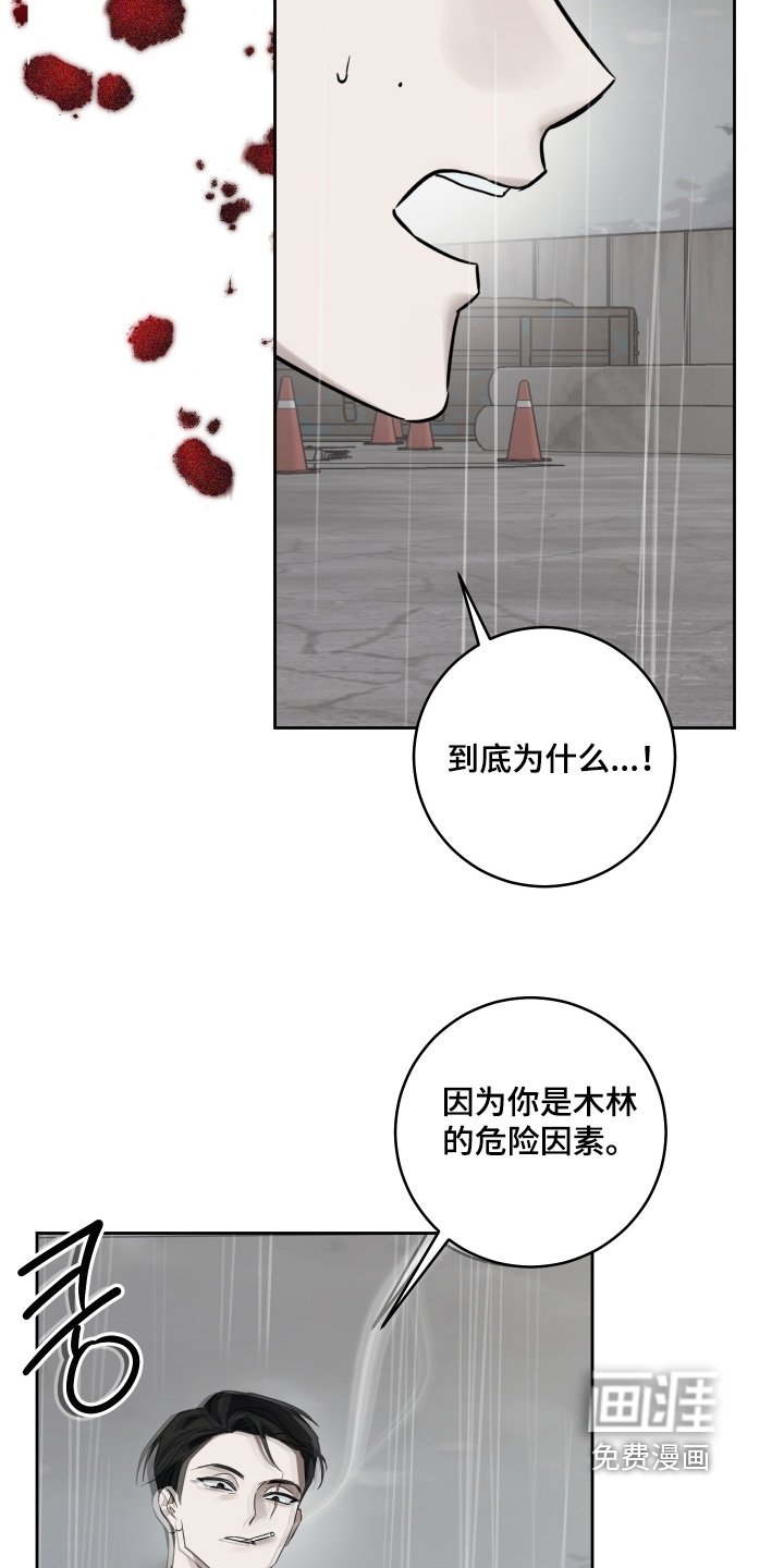 第38章：没有背叛