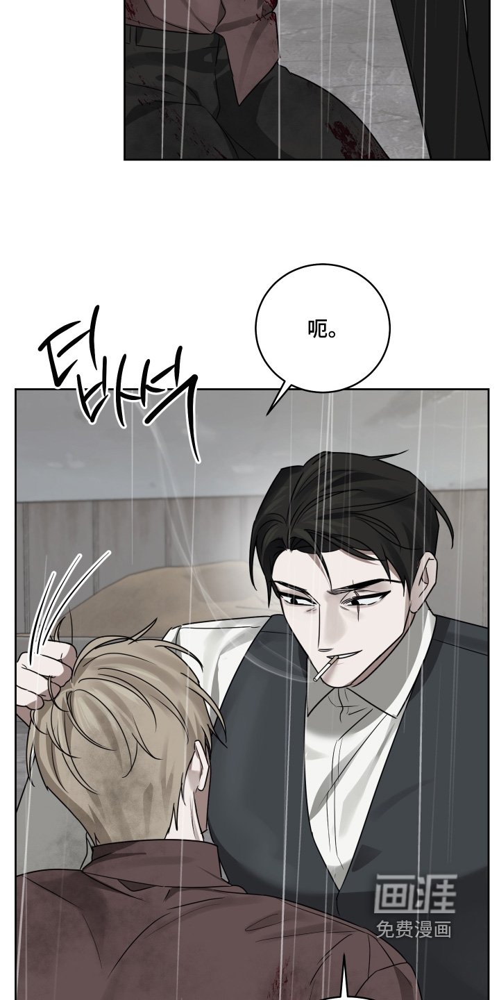 第39章：动手吧