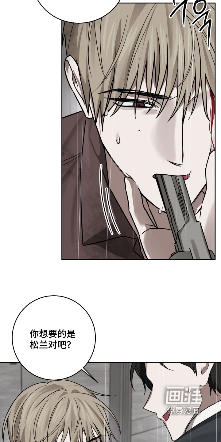 第41章：会有危险