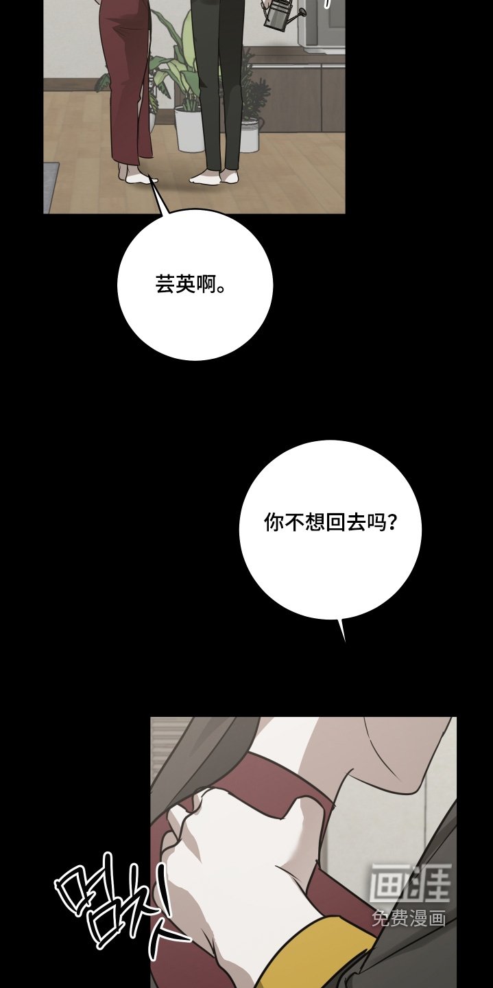 第45章：你醒了