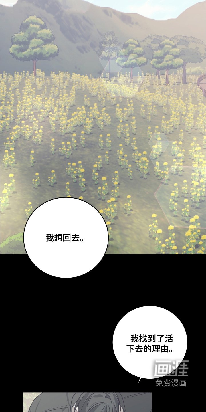 第45章：你醒了